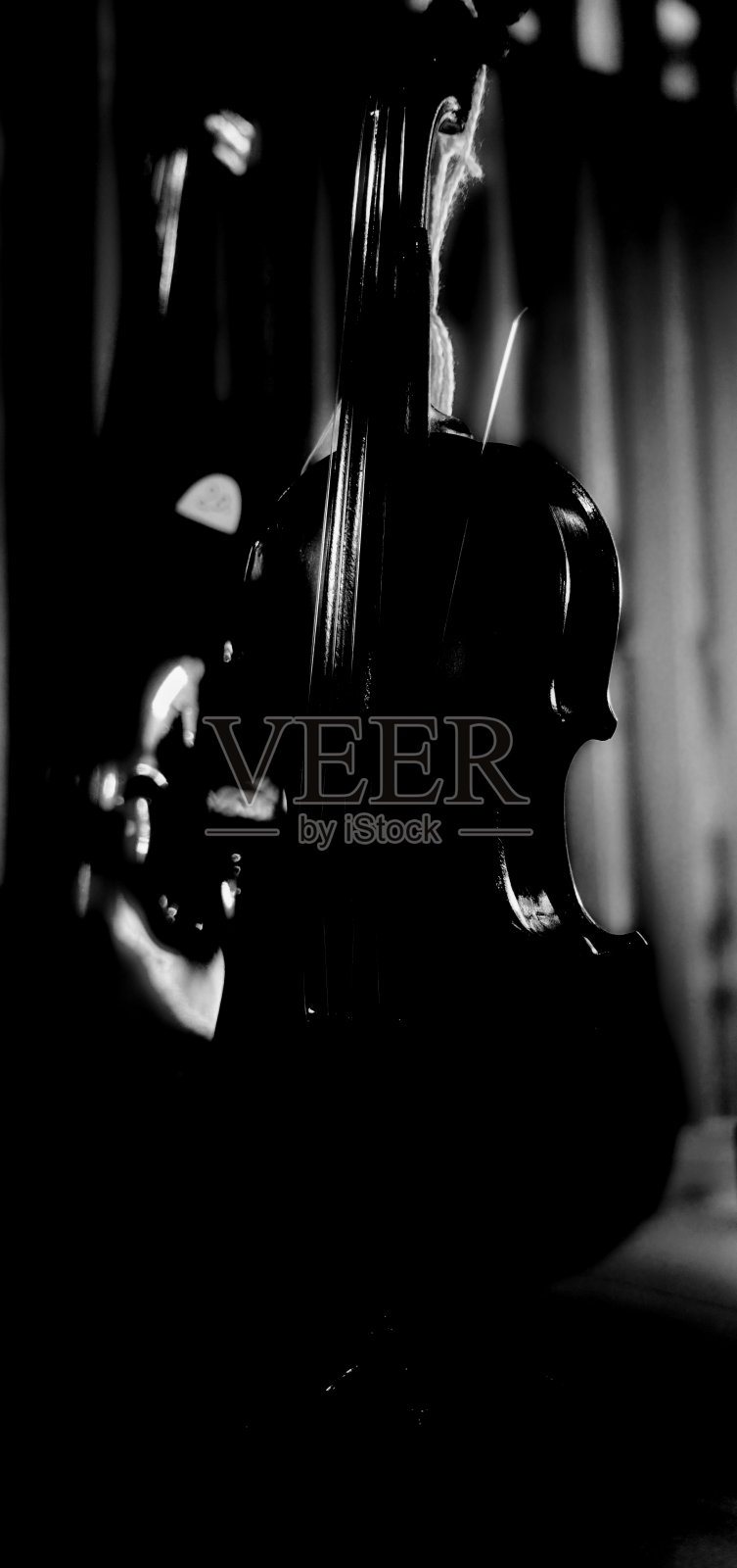弓小提琴黑白低音单反照片摄影图片