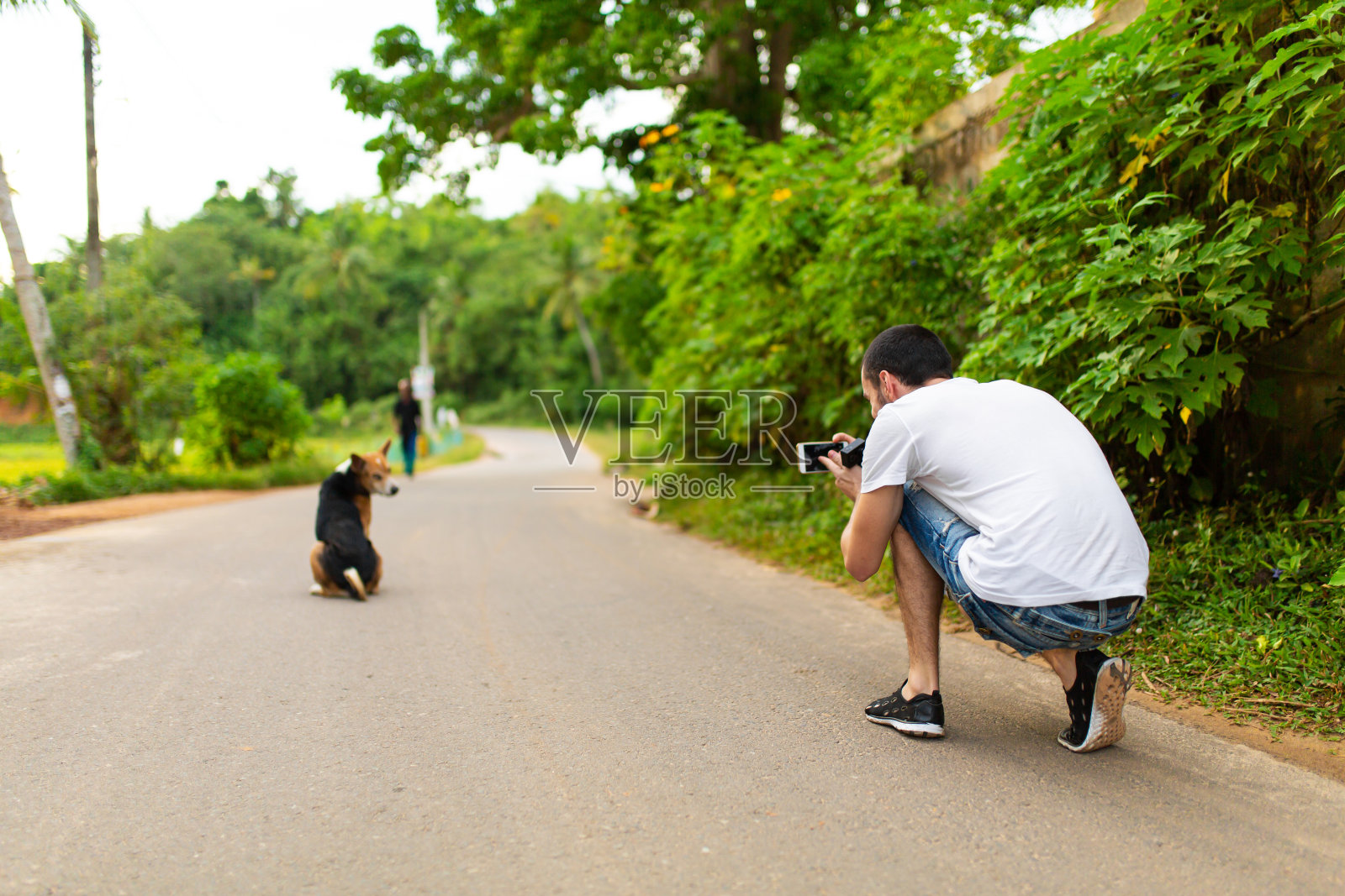 一个人给一只狗拍了张照片，它坐在路中间，看着半个转弯照片摄影图片