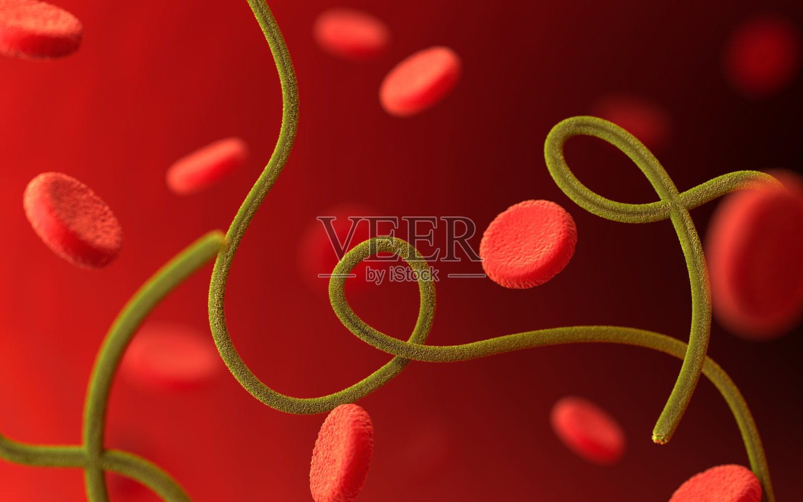 红色背景上的埃博拉病毒和血细胞照片摄影图片