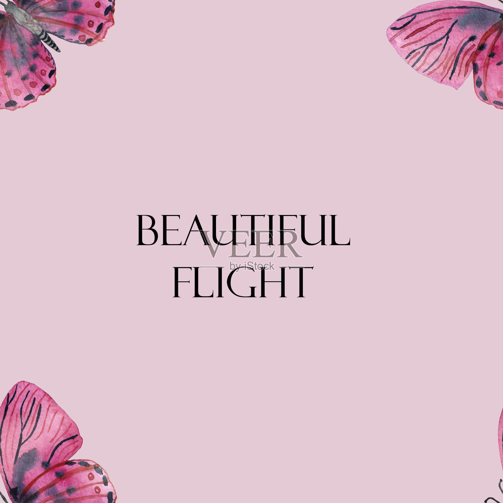 水彩手绘自然野生昆虫无缝图案，粉红蝴蝶孤立在淡粉色的背景和美丽的飞行文字在中心，浪漫打印的设计元素插画图片素材