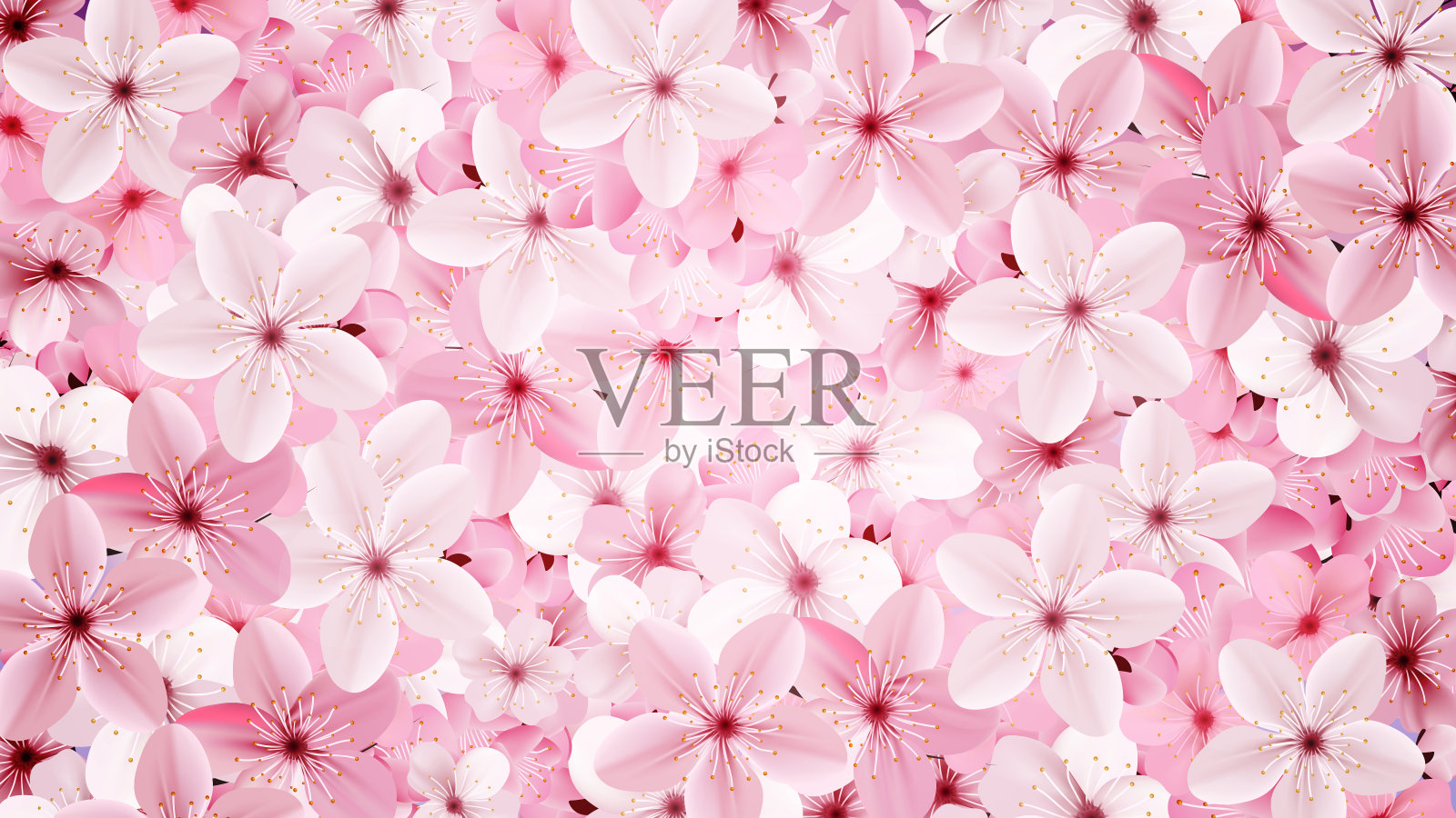 盛开的粉红色樱花背景。美丽的打印设计元素图片