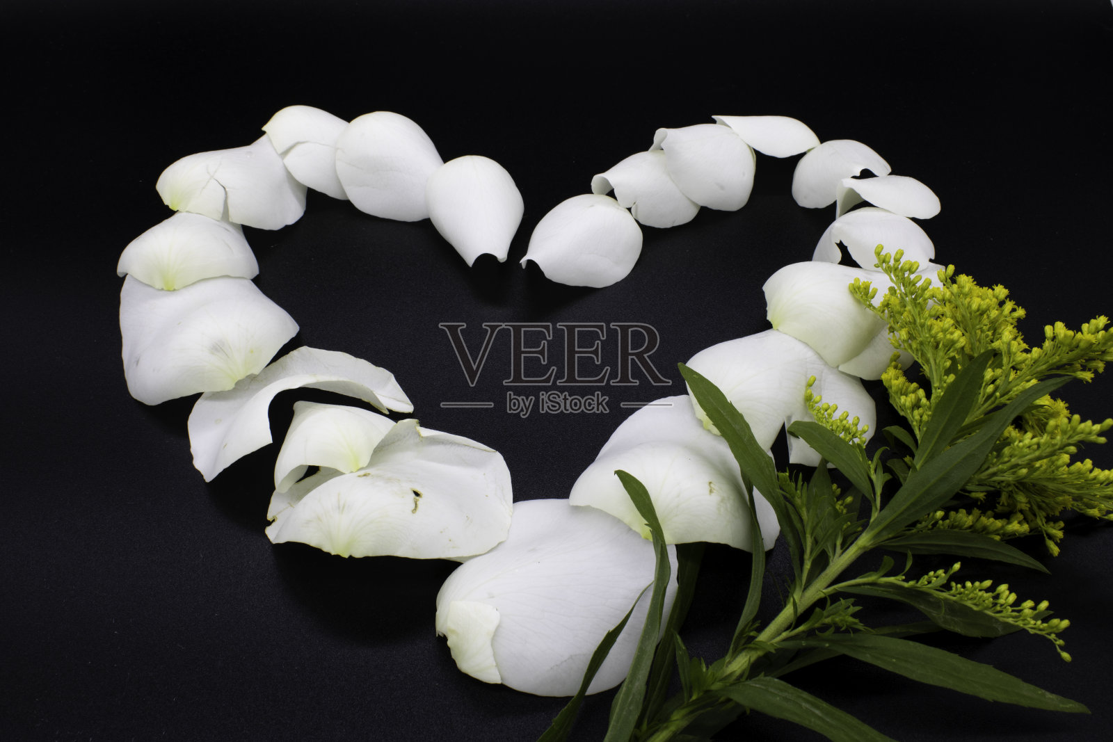 心与白色玫瑰花瓣，在黑色的背景照片摄影图片