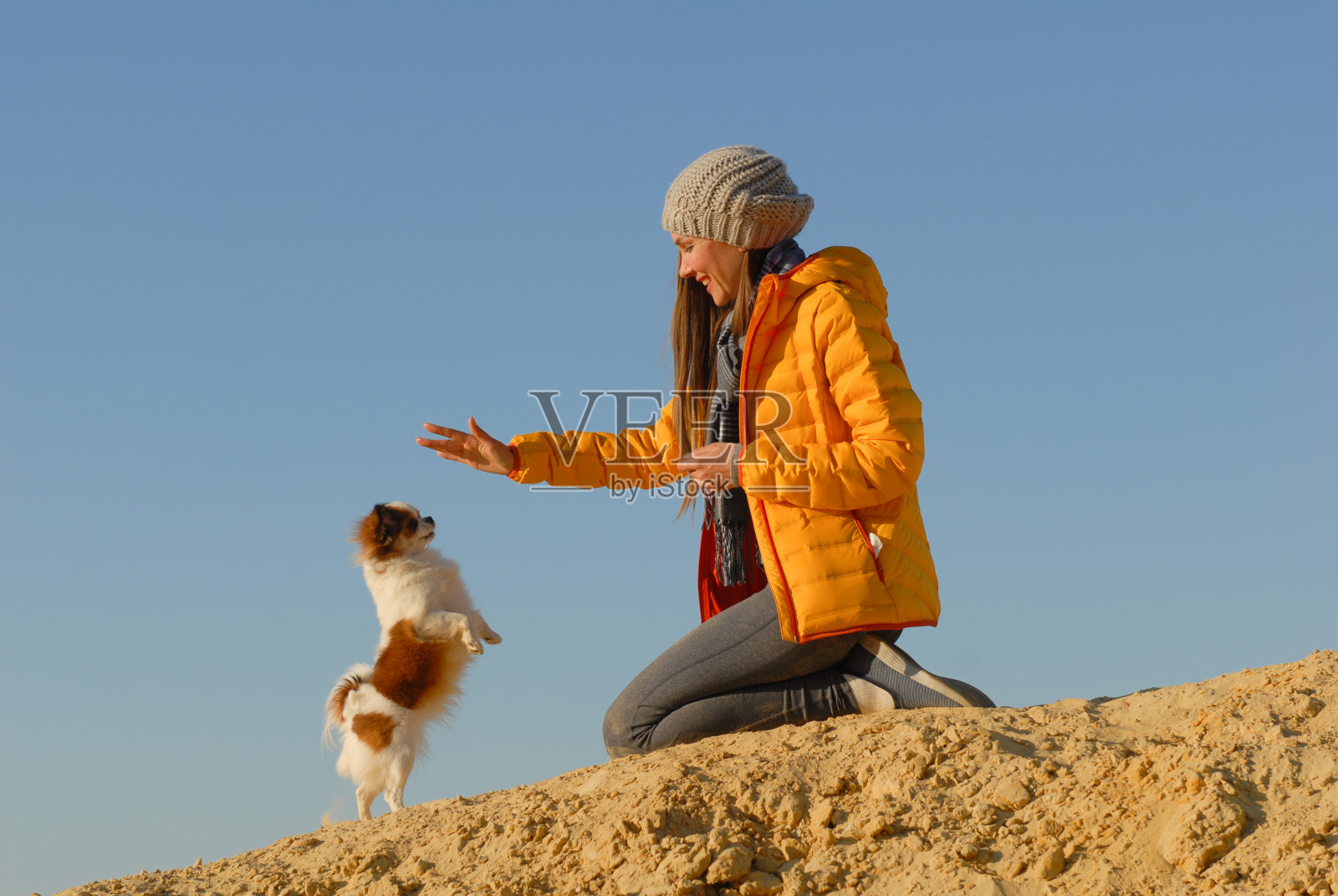 一位戴着帽子和夹克的快乐年轻女子正在训练狗狗的服从能力，她用手为一只小吉娃娃狗在户外的沙子上用后腿站立照片摄影图片