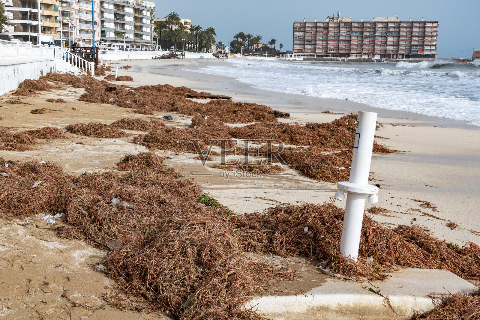 暴风雨过后被垃圾污染的沙滩照片摄影图片