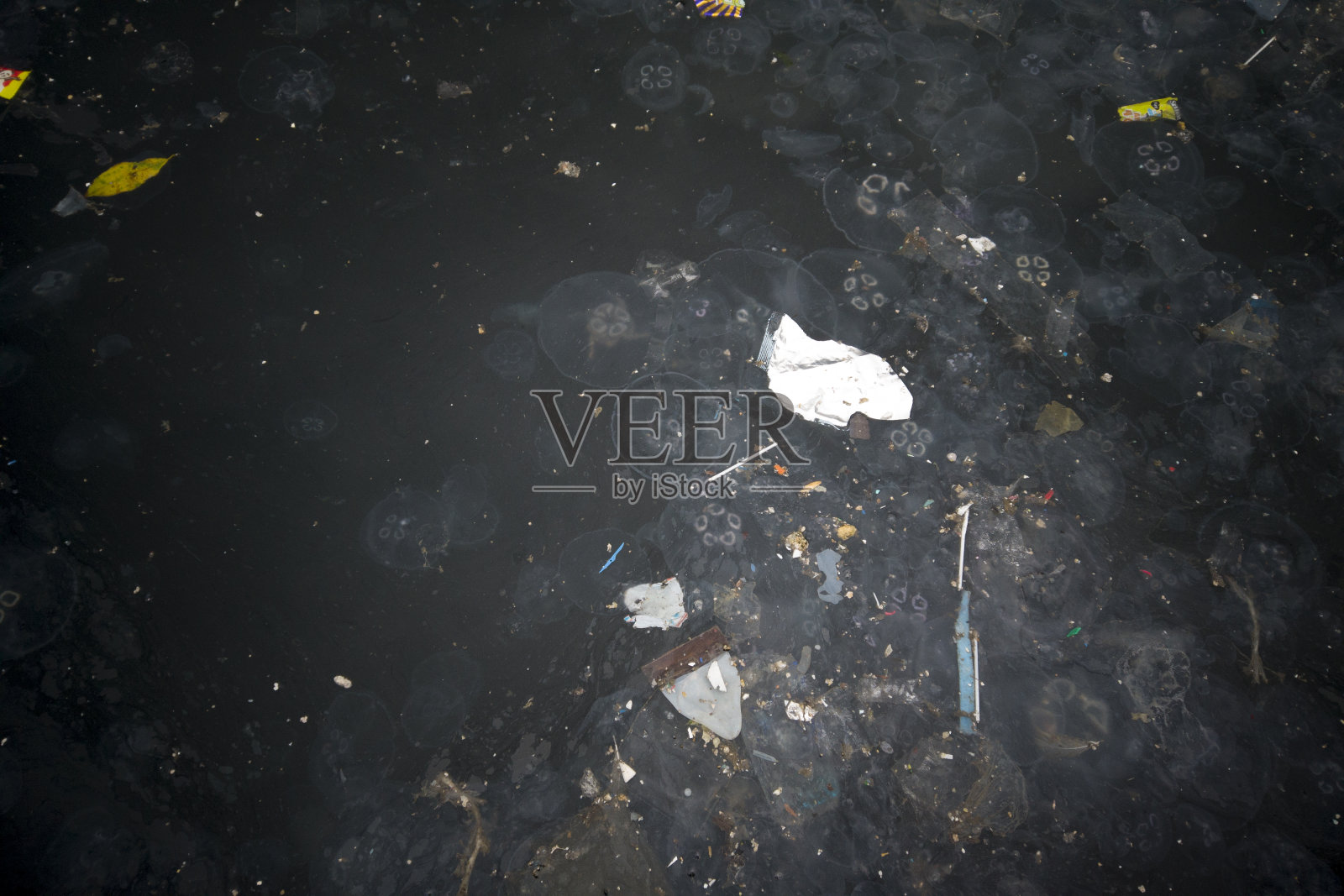 海洋污染在海面留下水母垃圾照片摄影图片