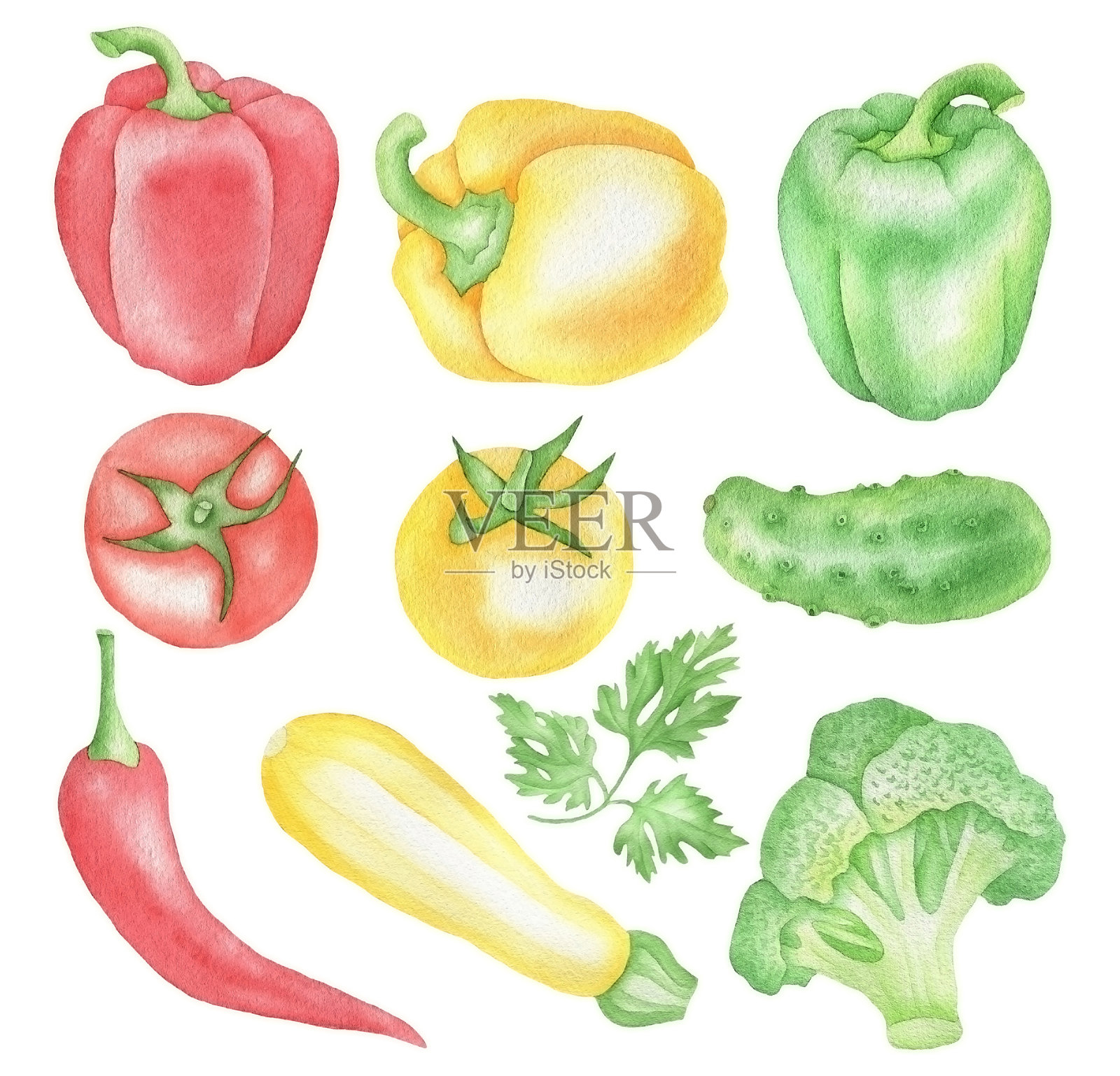 放在桌子上的蔬菜插画图片素材