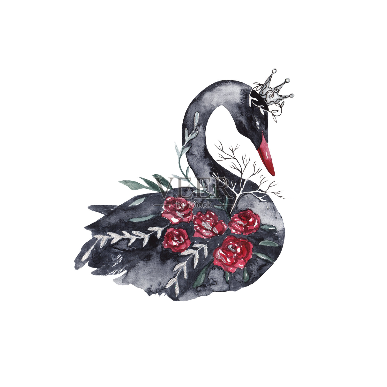 黑天鹅在皇冠上，还有花草。水彩插图插画图片素材