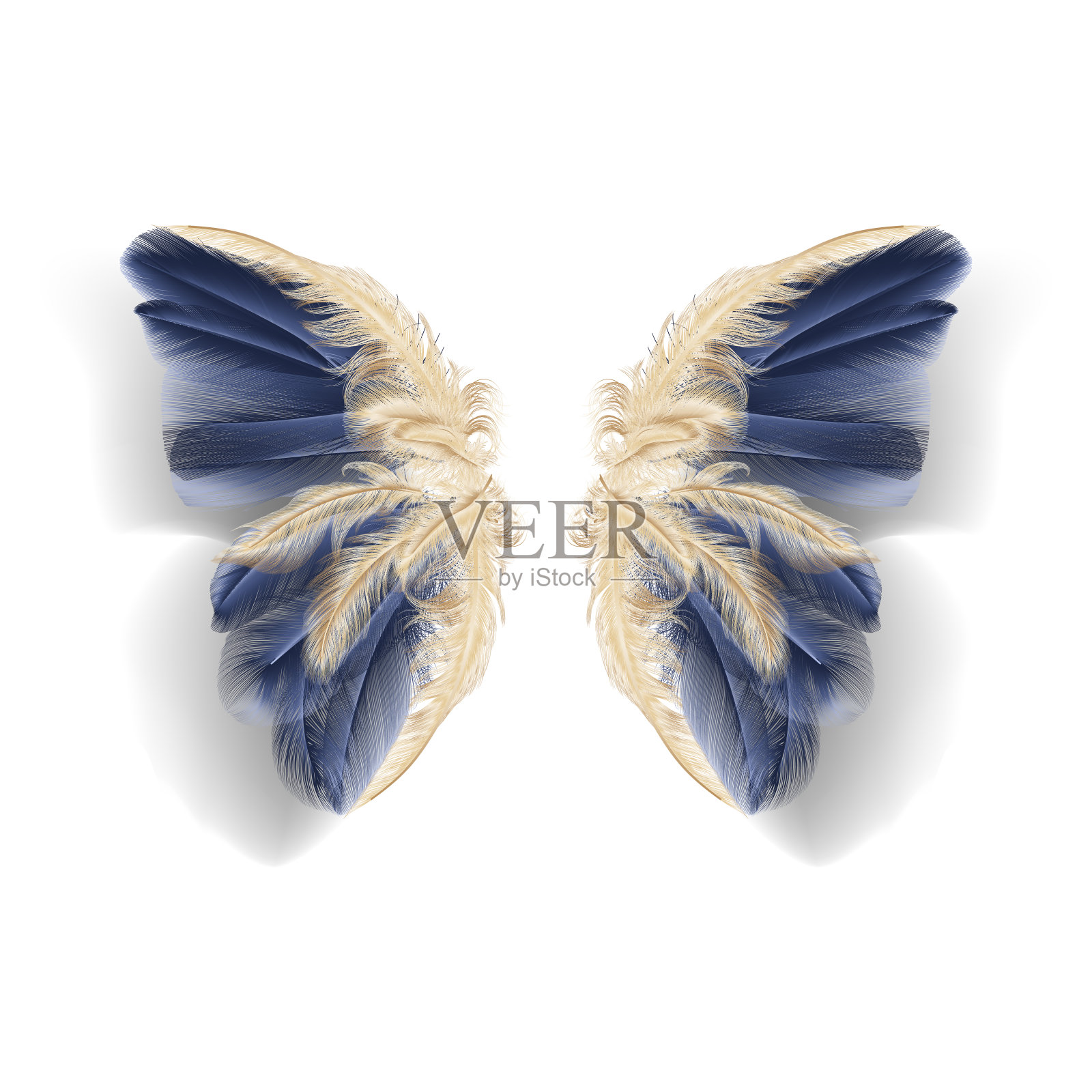 蝴蝶有羽毛的翅膀。现代抽象艺术金羽毛。设计元素图片