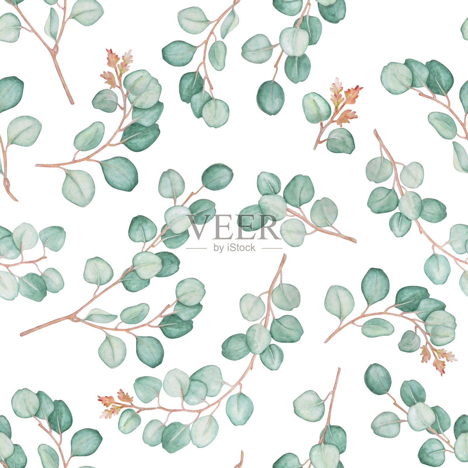 水彩无缝模式的桉树和开花的树枝在白色的背景。插画图片素材