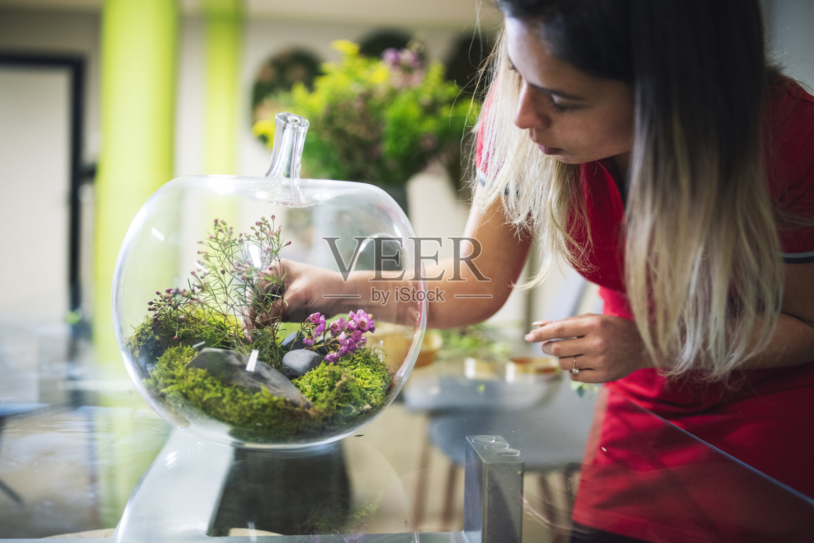 年轻女性用玻璃装饰微型生态系统照片摄影图片