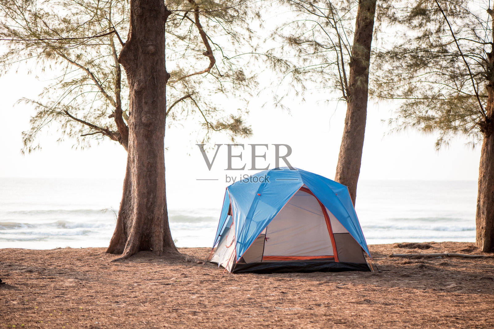 蓝色帐篷，在海滩上露营照片摄影图片