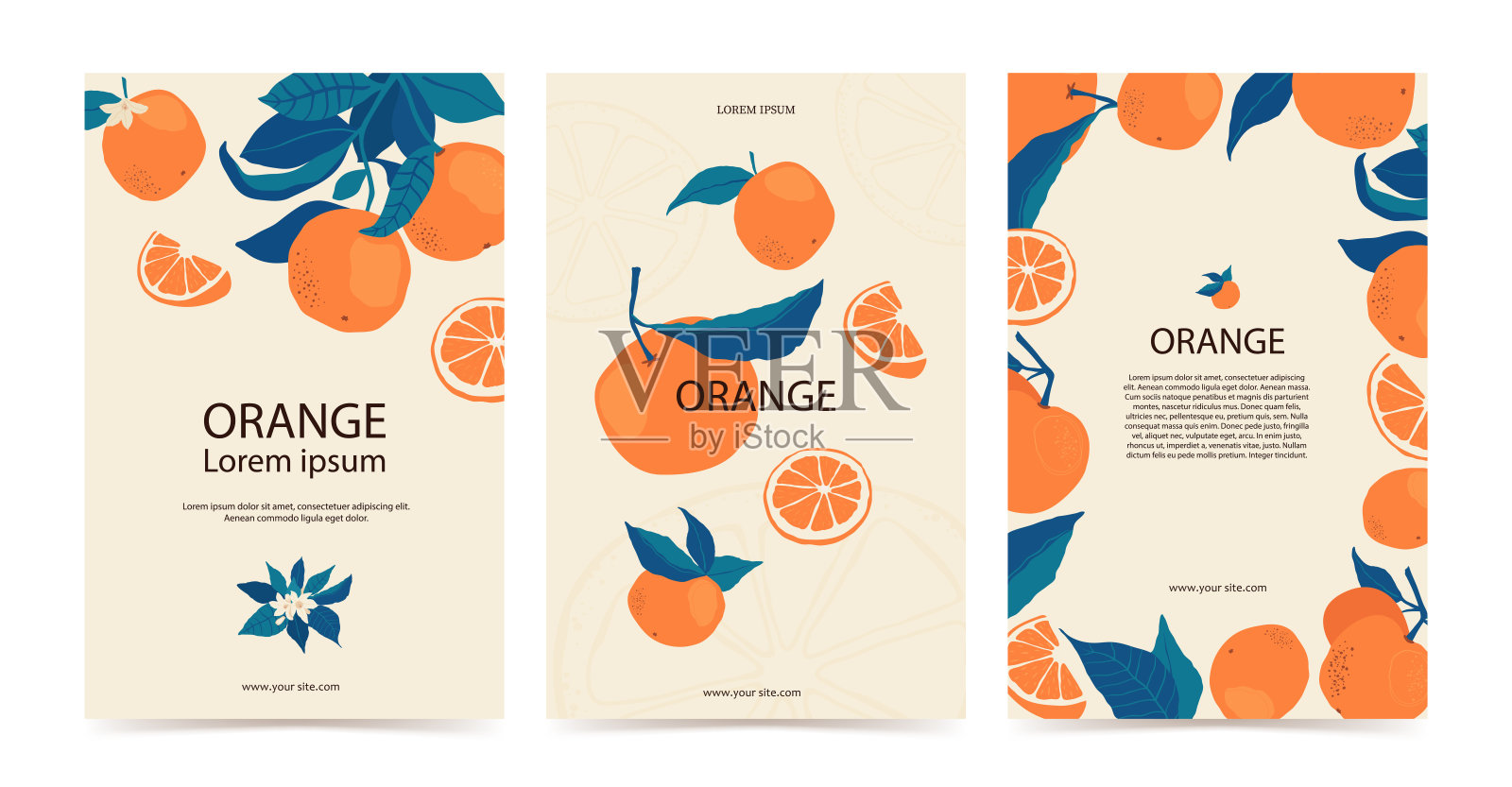 在树枝上放置橙子框架，复制空间用平面风格。模板与柑橘水果为您的宣传册设计，横幅，标签。向量股票插图设计模板素材