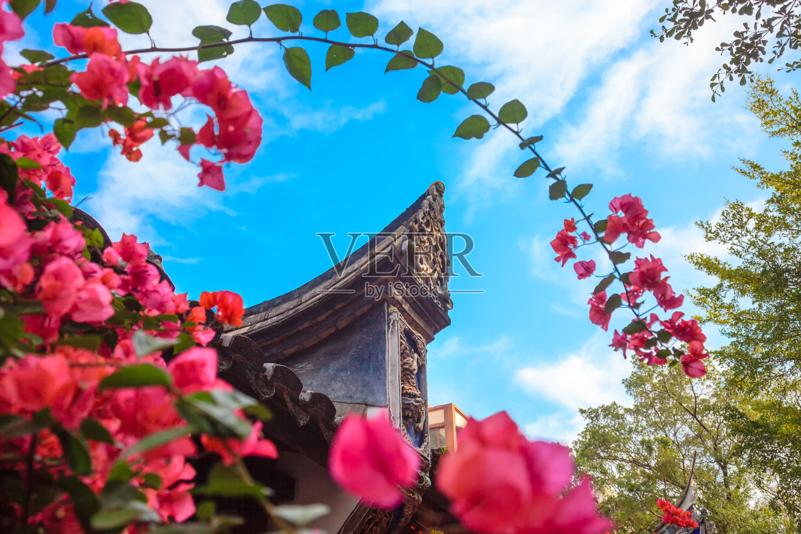 中国福建福州，传统的中国檐口装饰着神话动物的精美浮雕，透过花园中的花丛。照片摄影图片