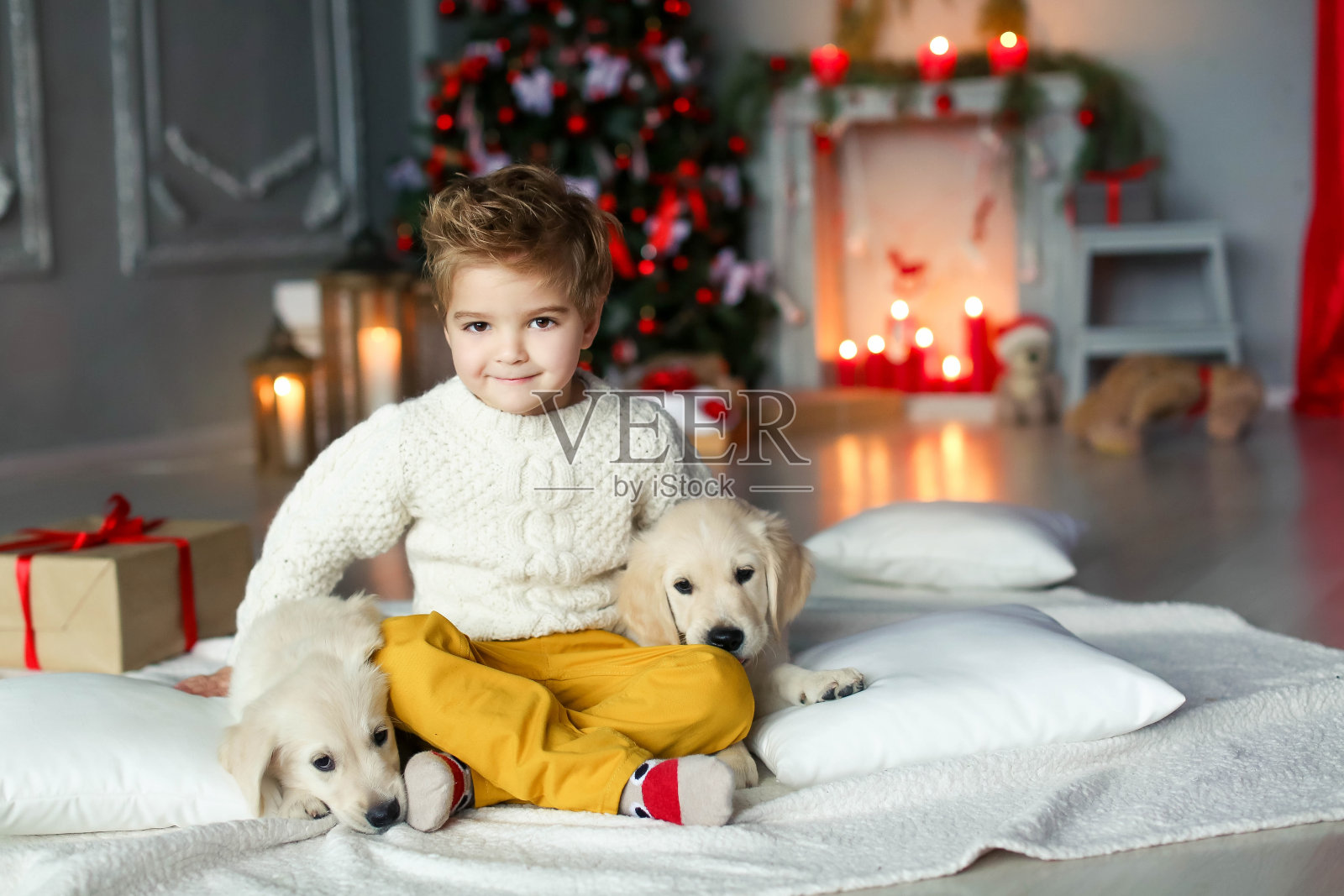 可爱的婴儿与白色金色的拉布拉多在圣诞装饰的背景照片摄影图片