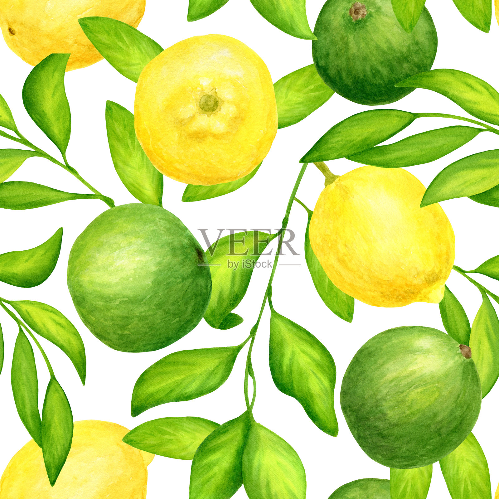 水彩酸橙和柠檬叶无缝模式。手工绘制鲜绿色和黄色的柑橘类水果插图孤立在白色的背景，用于纺织，包装，包装，卡片，装饰。插画图片素材