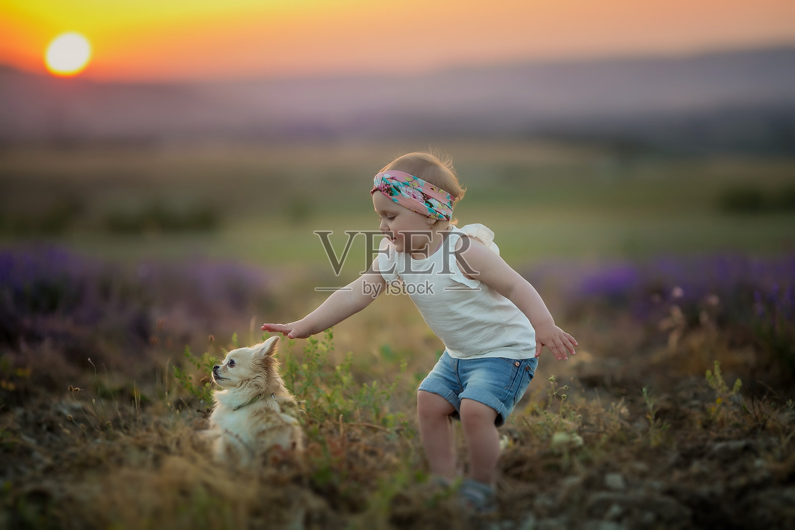 小女孩和一只狗照片摄影图片