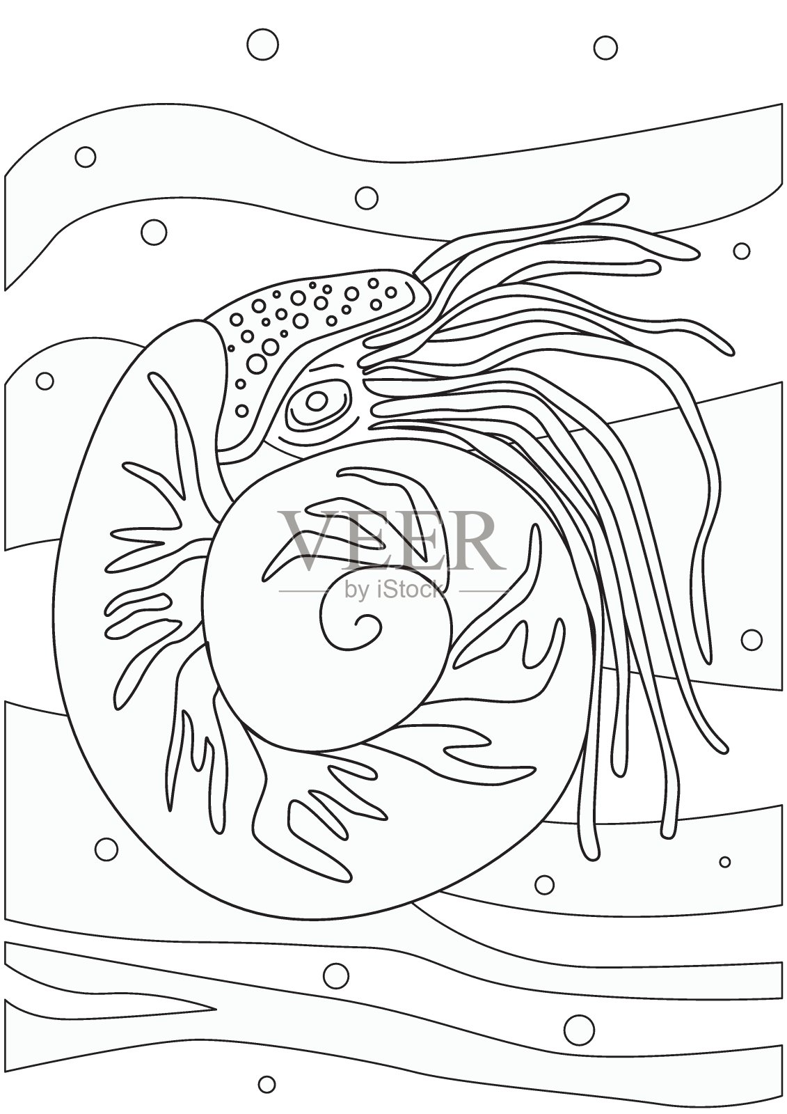 鹦鹉螺在白色背景作为彩色页A4格式，大纲矢量股票插图与海洋或海洋和动物打印插画图片素材