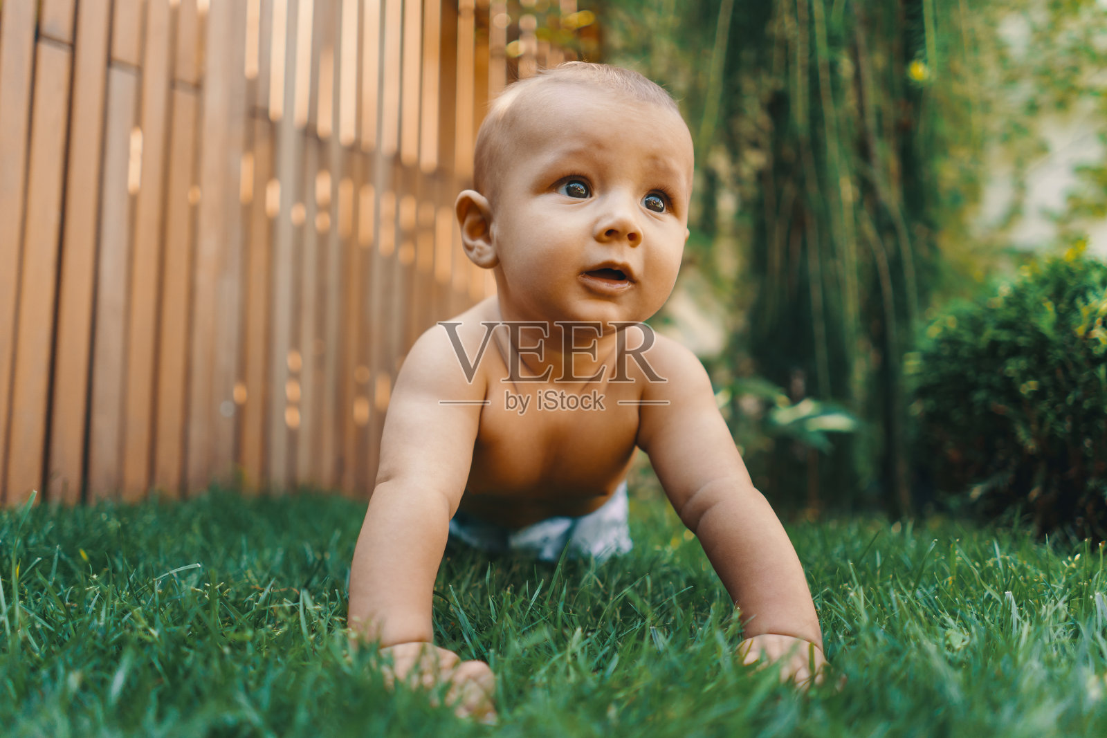 小男孩在绿草地上爬照片摄影图片