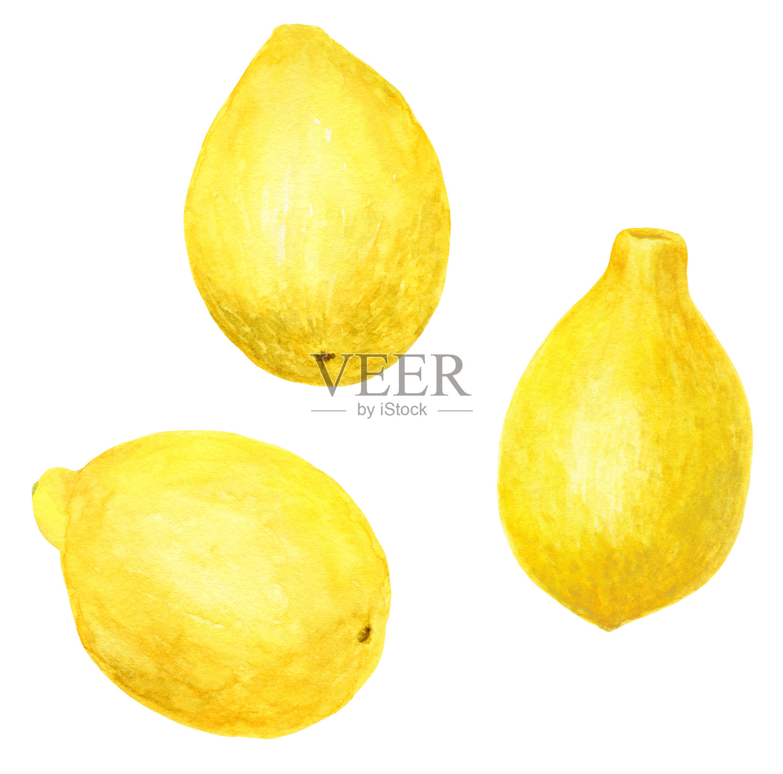 水彩柠檬。手绘食品元素，用于设计和装饰。白色背景上孤立的黄色果实。插画图片素材