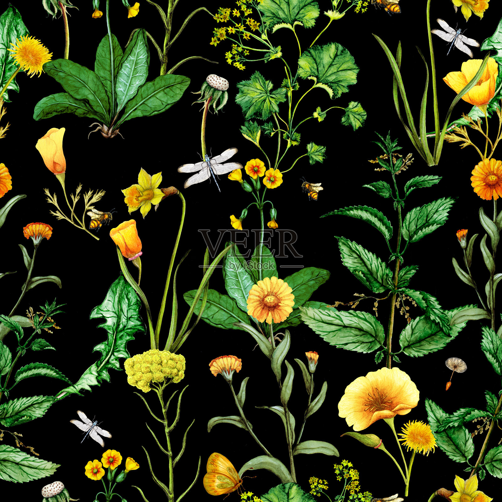 水彩无缝药用植物图案插画图片素材