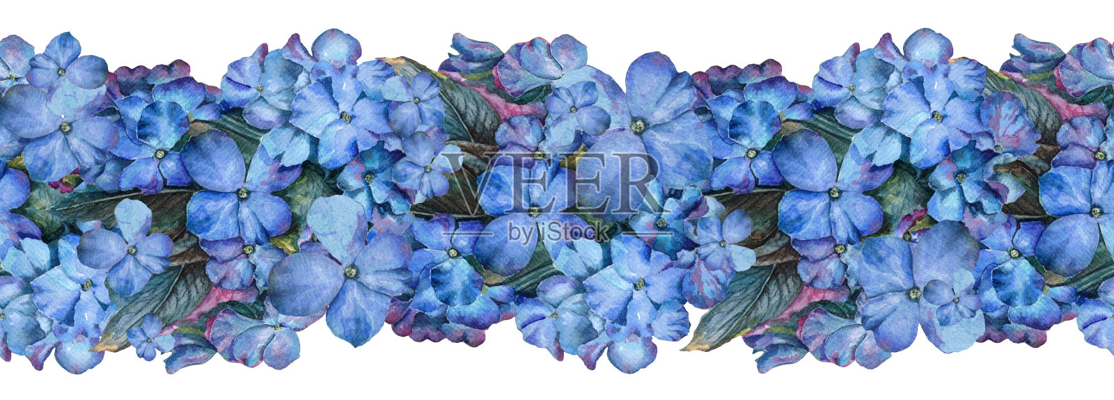 水彩无缝边界与明亮的蓝色紫罗兰花插画图片素材