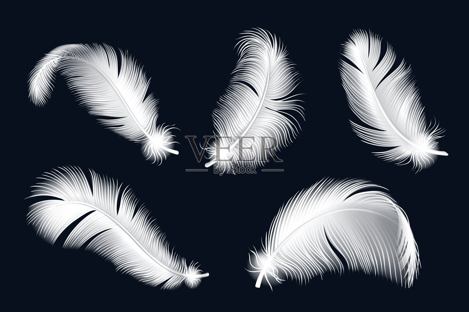 孤立的白色羽毛集。现实的鸟类fluf设计元素图片