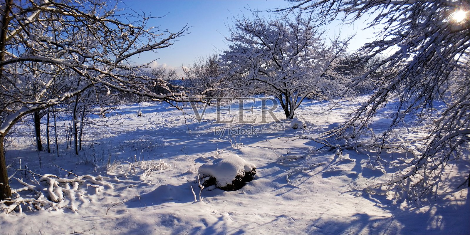 风景清幽，雪，石，树，蓝，白照片摄影图片