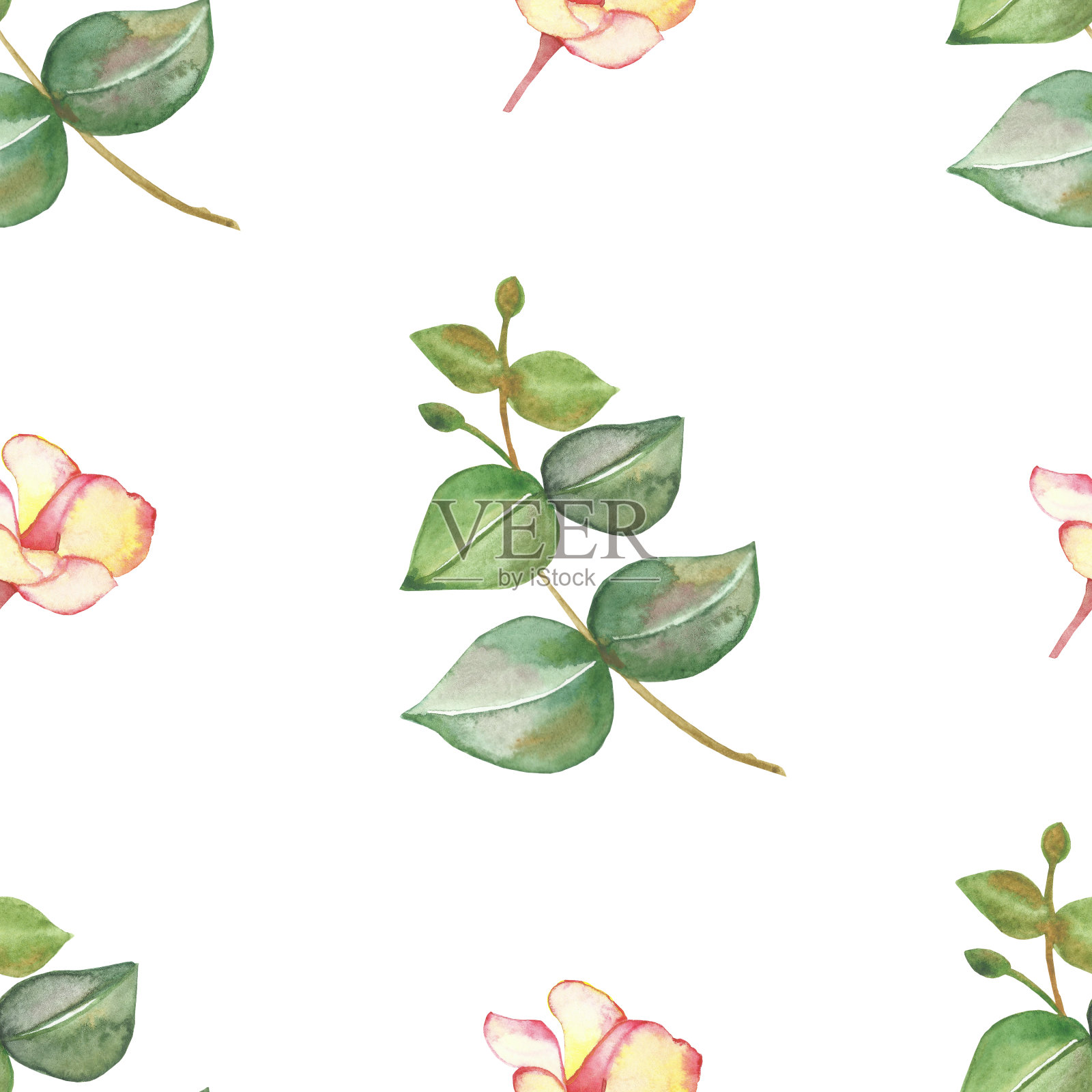 水彩手绘自然绿叶花卉无缝图案与粉红色的花鸡蛋花芽和绿色桉树叶在枝孤立在白色的背景，时尚的印花设计插画图片素材