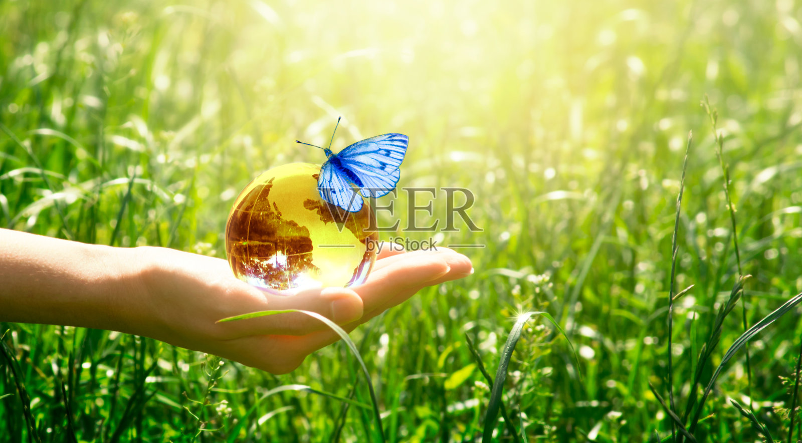 世界地球日卡片。地球和蝴蝶在草地上的背景。32、节约环境，清洁绿色地球。照片摄影图片