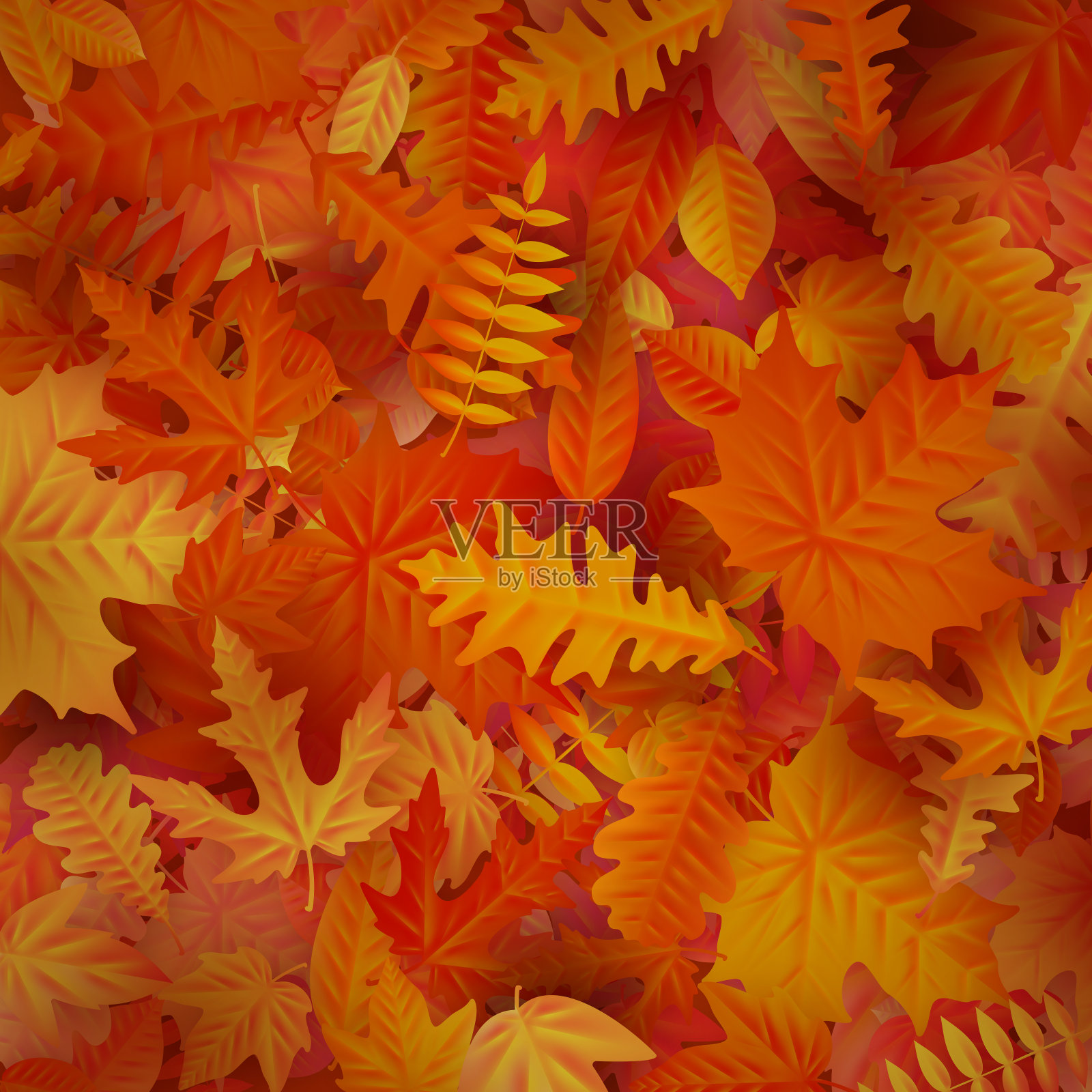 红色和橙色的秋叶背景。每股收益10插画图片素材