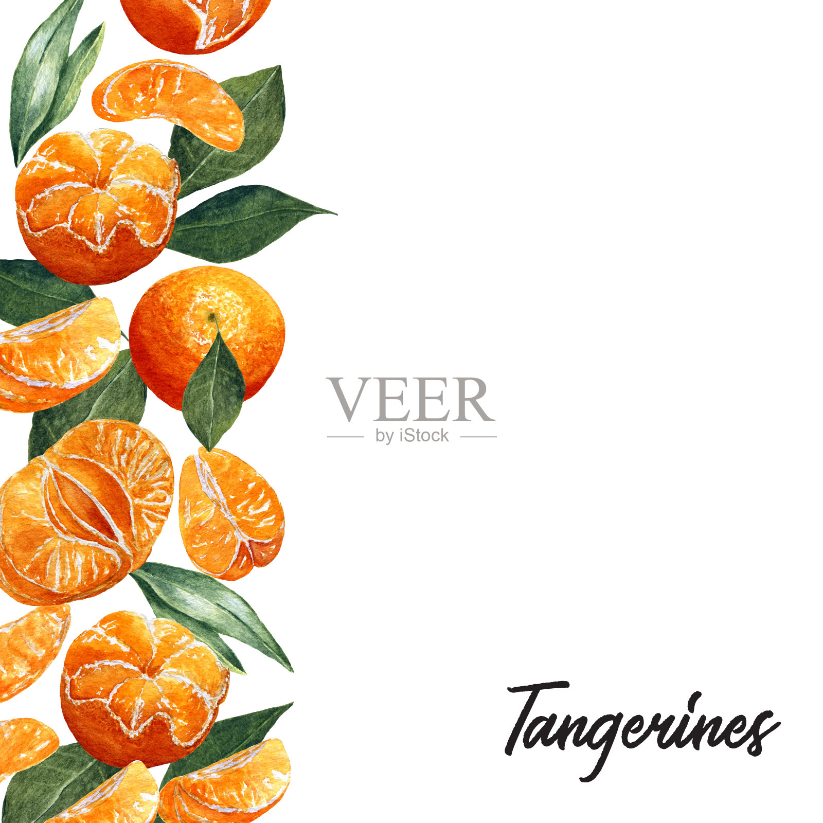 模板与水彩水果图案。背景鲜亮的橘子，剥皮，切片，叶子和文字的地方插画图片素材