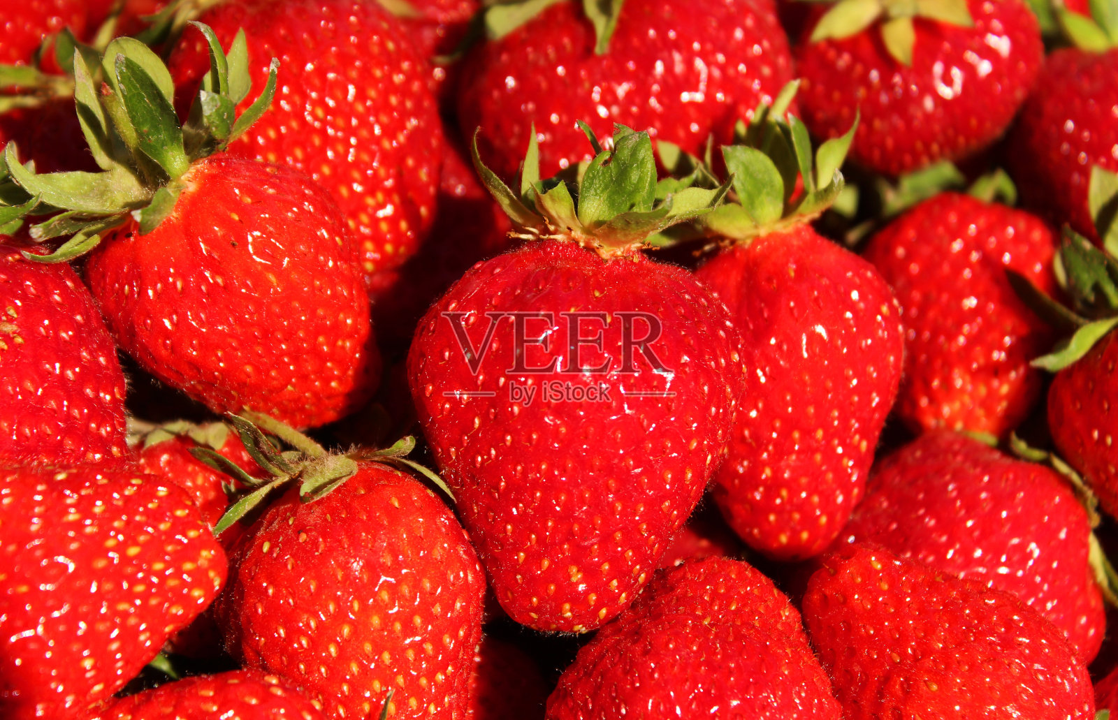 草莓的背景。很多红色的浆果。春天的水果照片摄影图片