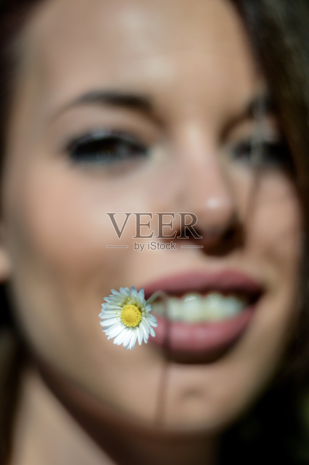 一个年轻女子的近距离肖像与雏菊花在嘴里。积极的女孩在一个阳光明媚的日子里玩得开心。关注花。照片摄影图片