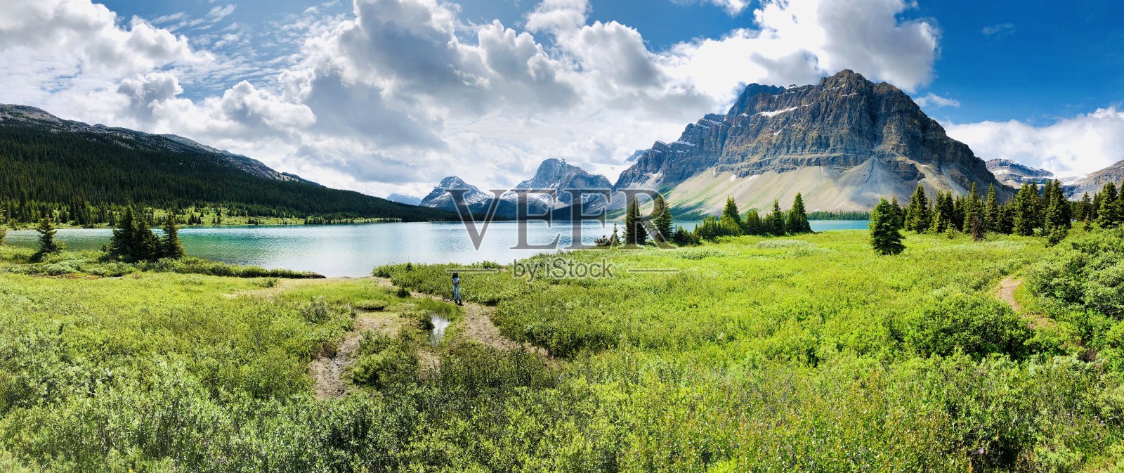 原始的加拿大湖，草和山景观照片摄影图片