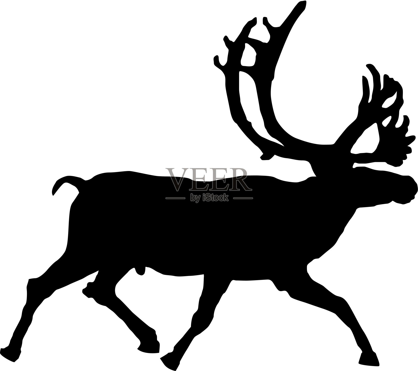 矢量插图的驯鹿在一个白色的背景设计元素图片