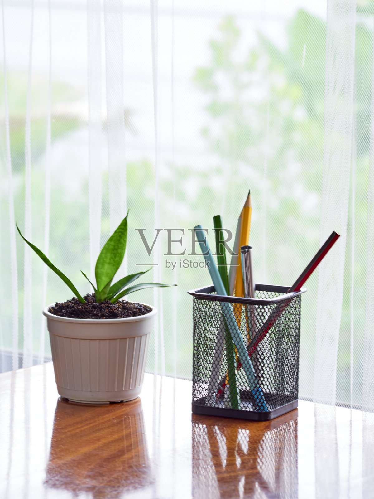工作空间完成与钢笔，铅笔和植物在白色的花盆。照片摄影图片