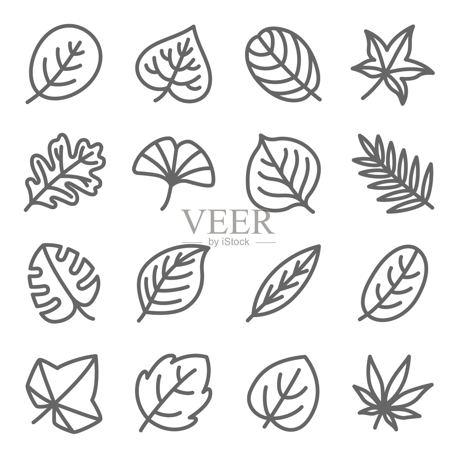 叶子图标设置矢量插图。包含如银杏，树叶，秋天，树叶，芦荟，植物学等图标。扩大中风图标素材