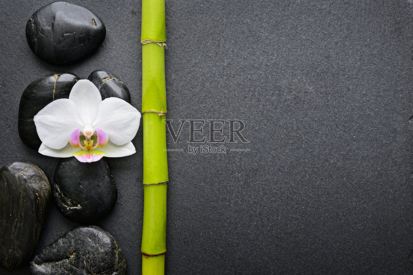 竹类植物和热带花呈黑色照片摄影图片