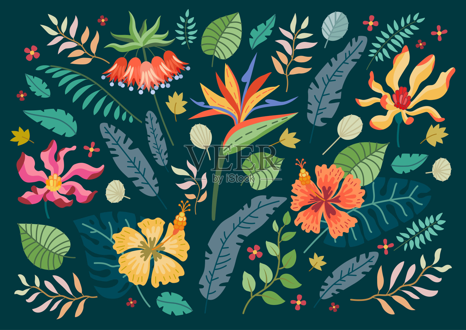 热带花卉图片素材-编号16590109-图行天下