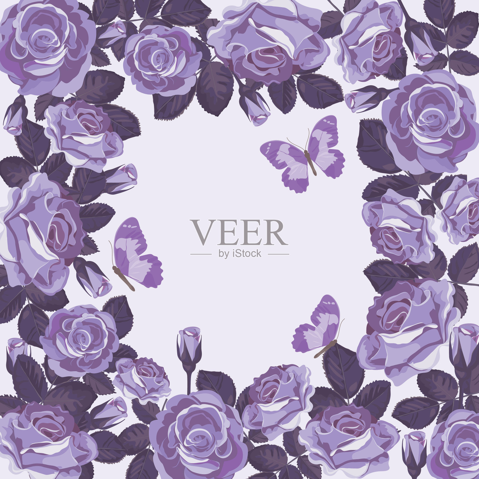 花卡片模板与紫罗兰玫瑰和插画图片素材