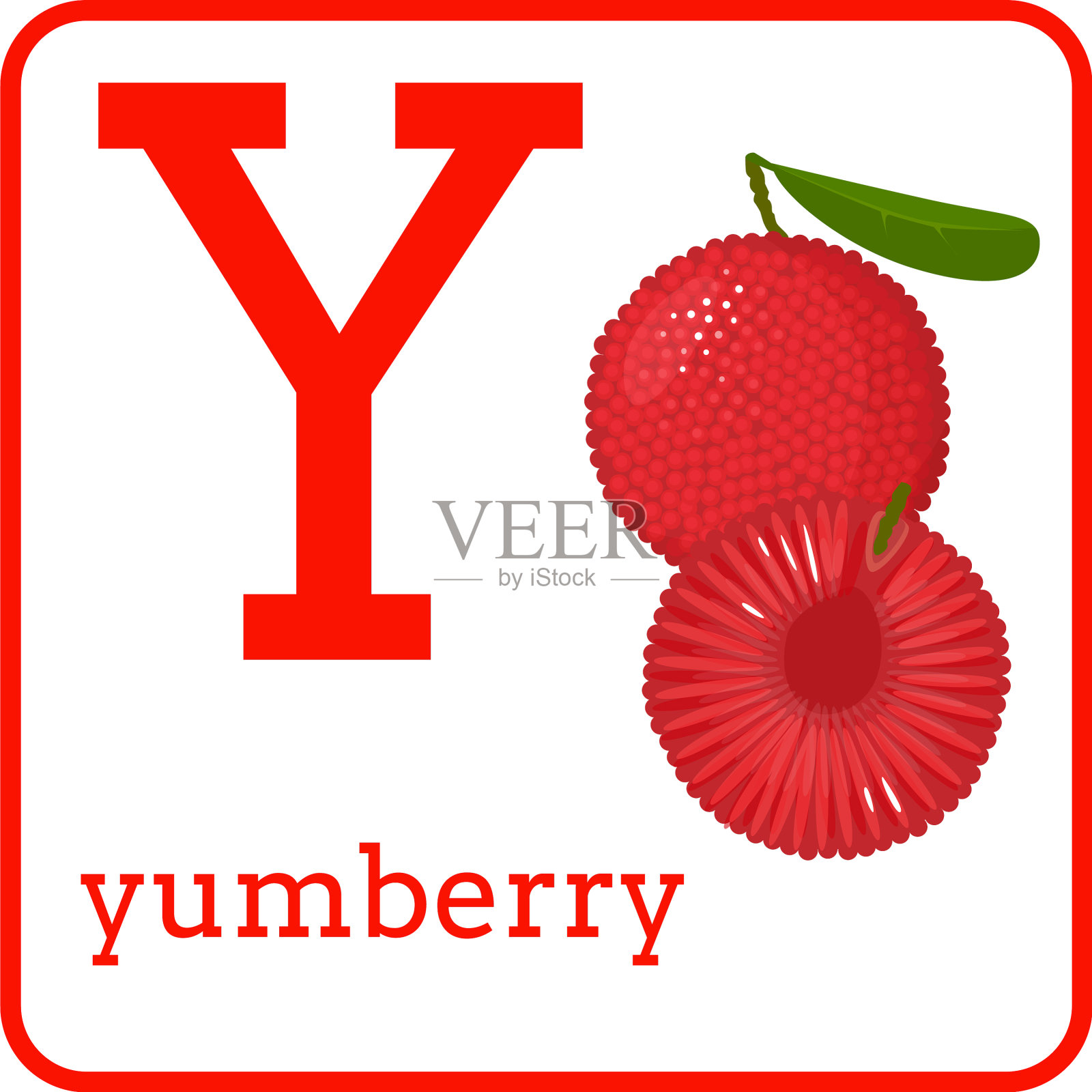 一个有可爱水果字母y yumberry的字母表插画图片素材