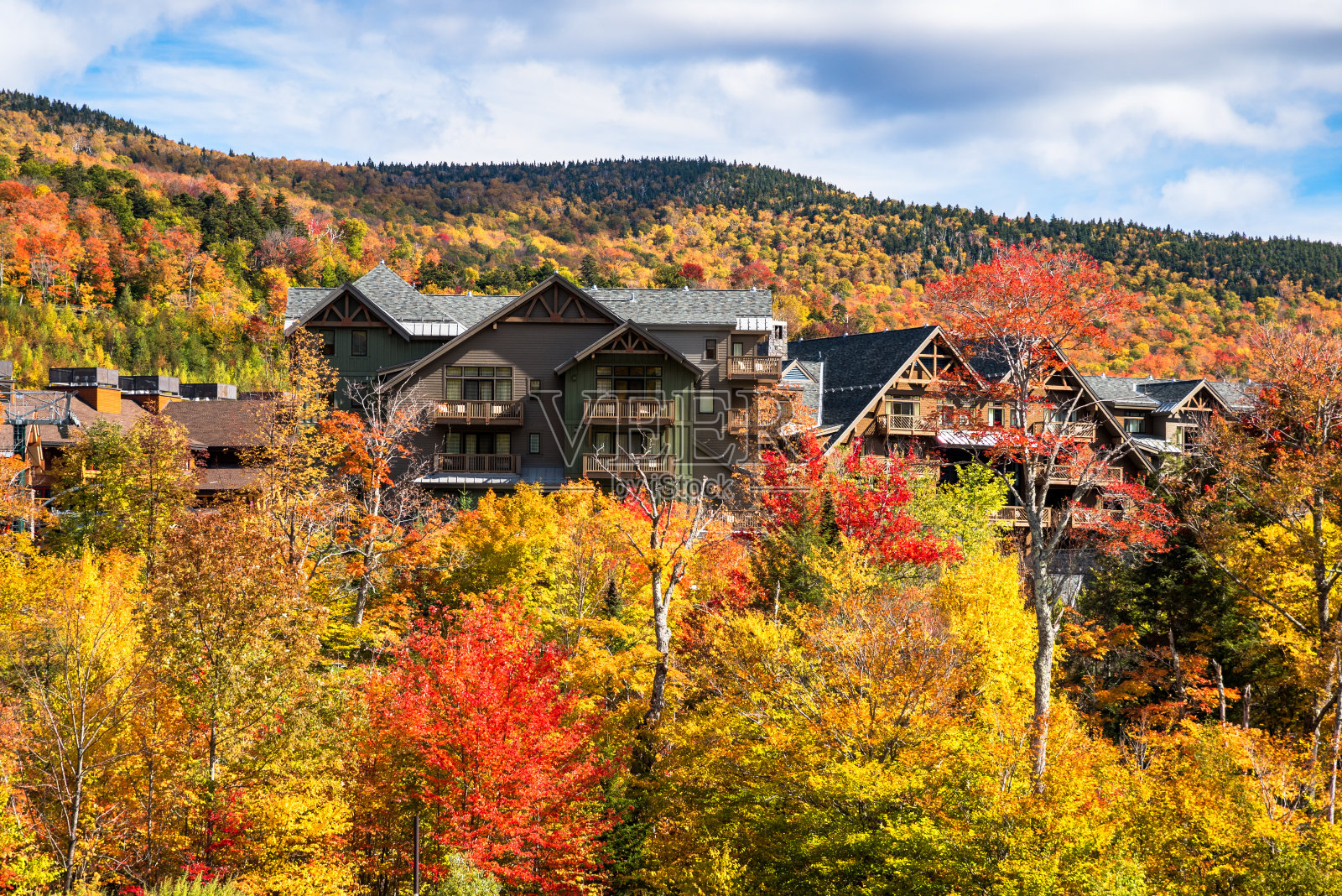 山坡上的度假公寓被秋叶繁茂的五颜六色的树林包围着照片摄影图片