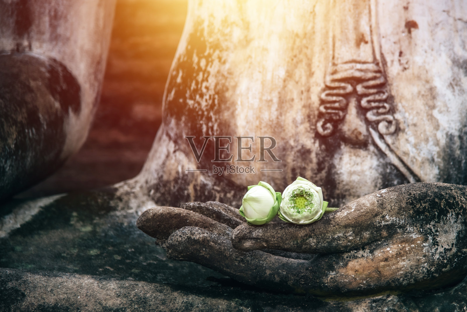 老石佛的手放两朵白莲花，是为了崇拜或尊重佛陀的智慧、纯洁和慈悲照片摄影图片