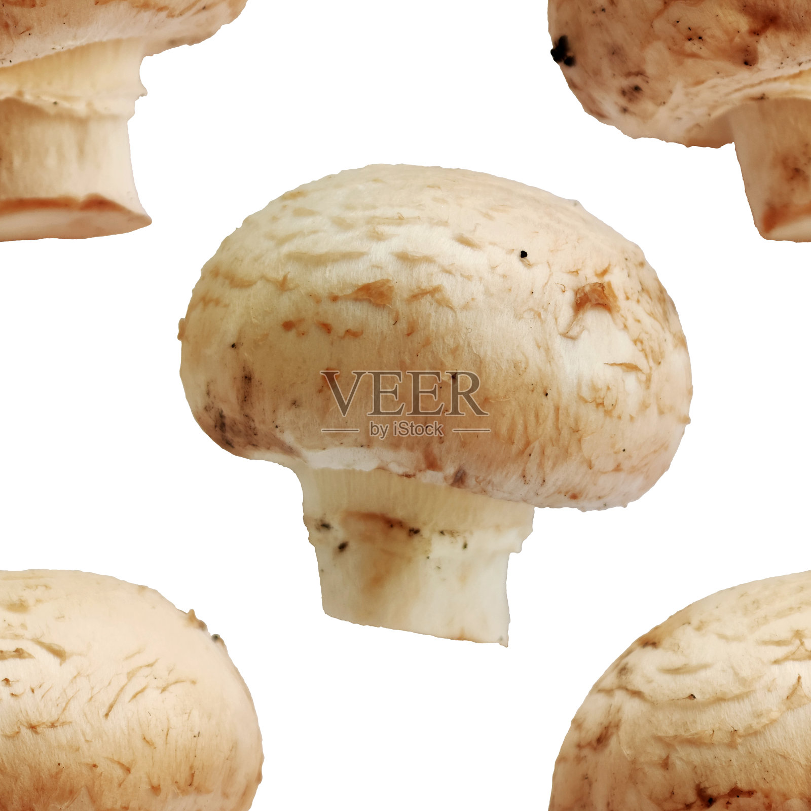 蘑菇植物食料蘑菇微距照片图案无缝纹理背景照片摄影图片