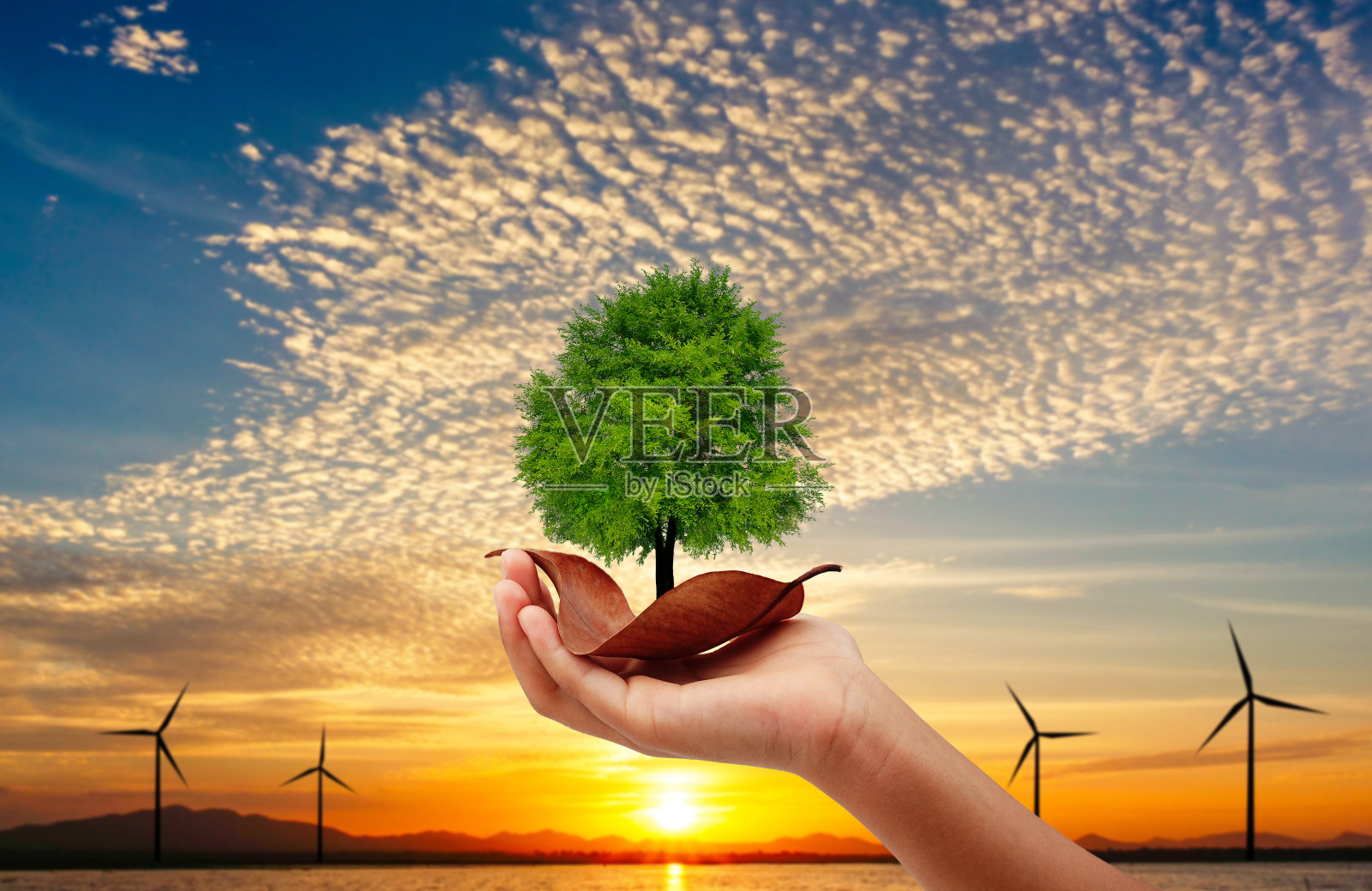 手握着枯叶上的树。涡轮机与日落背景。拯救地球的理念。照片摄影图片