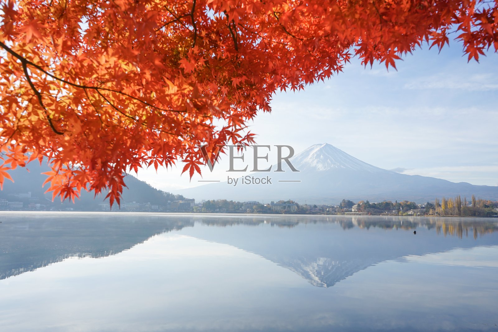美丽的红叶枫树与富士山在秋天在日本。照片摄影图片