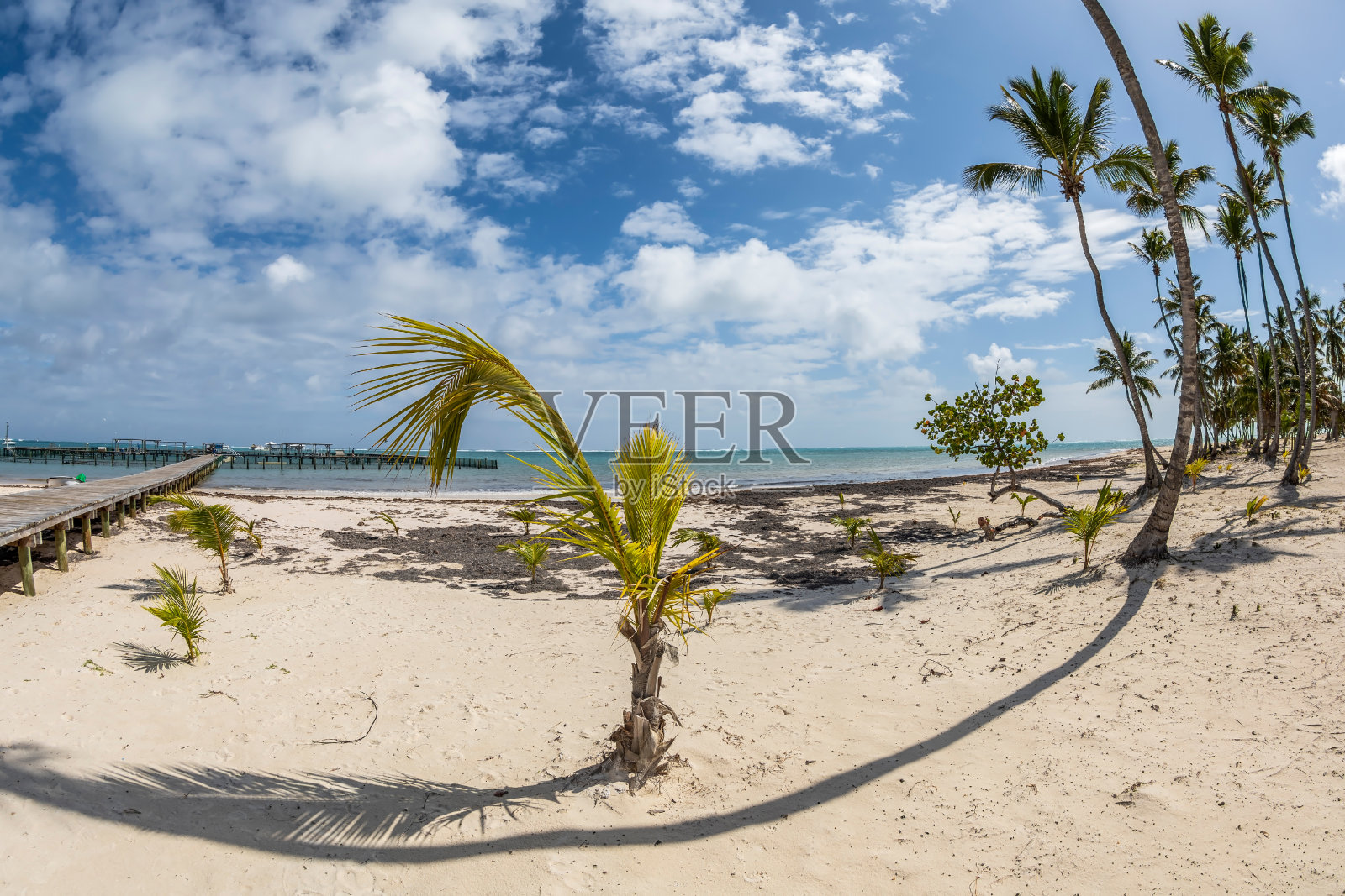 多米尼加共和国蓬塔卡纳美丽的沙滩照片摄影图片