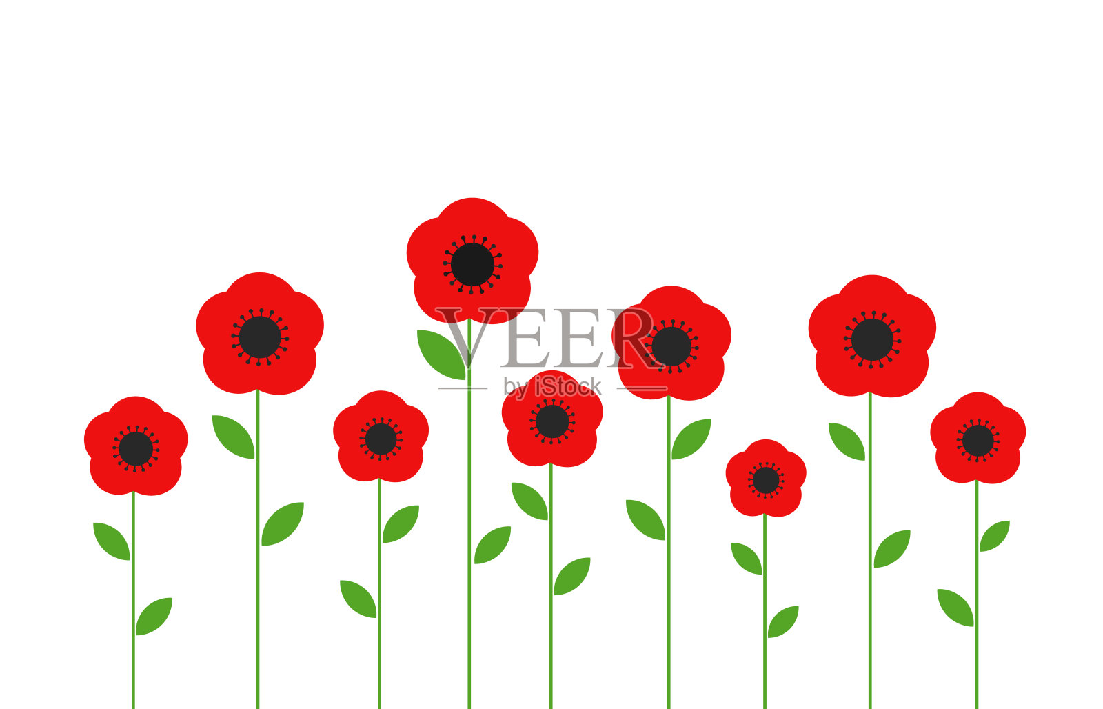 红色罂粟花。插画图片素材