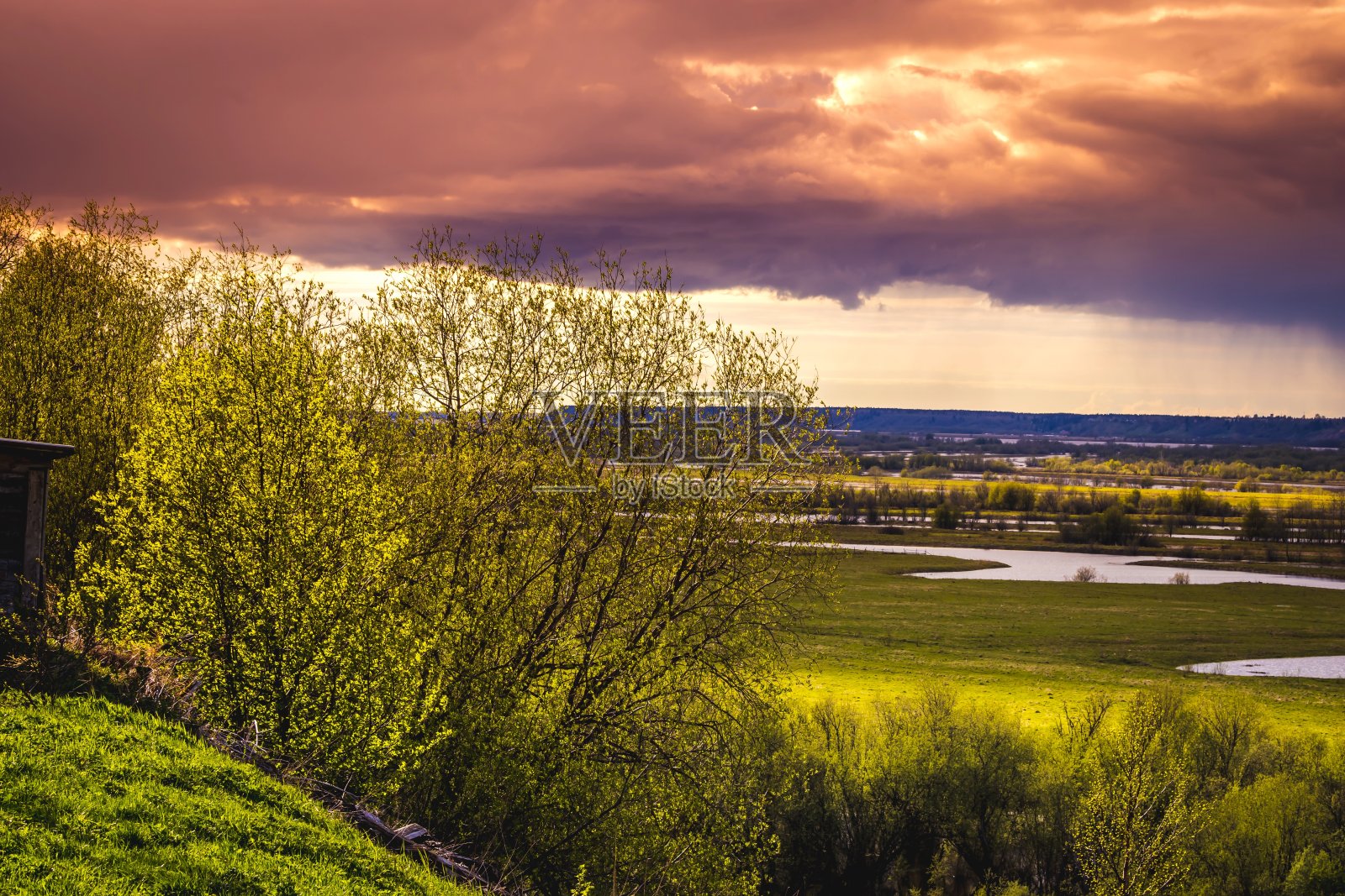 明亮的风景与年轻的绿色树叶的树木背光在一个戏剧性的日落日落照片摄影图片