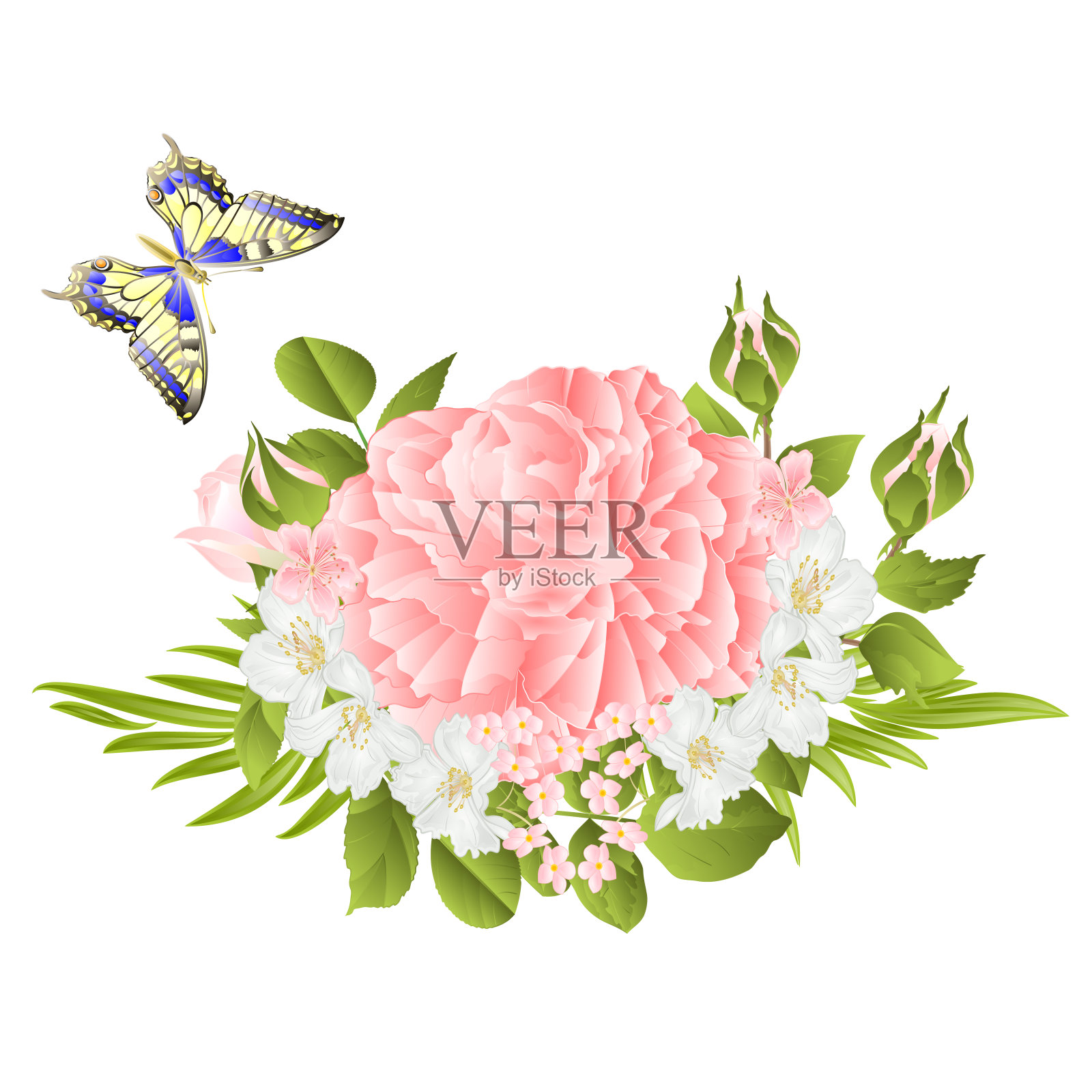 花粉红玫瑰和花蕾茉莉和蝴蝶复古节日背景水彩矢量插图编辑插画图片素材